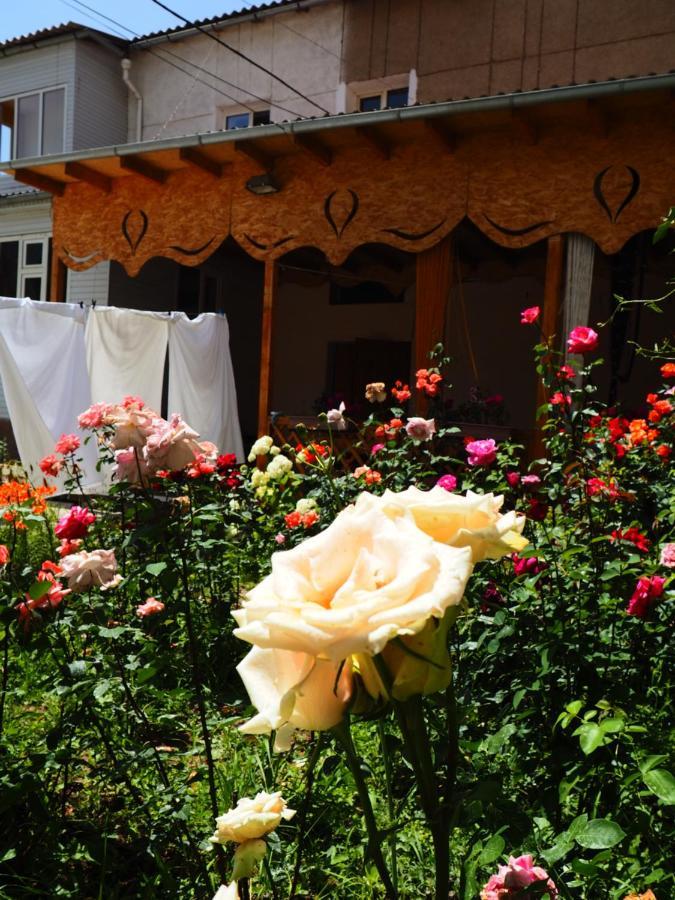 Baktygul Guesthouse Naryn Extérieur photo