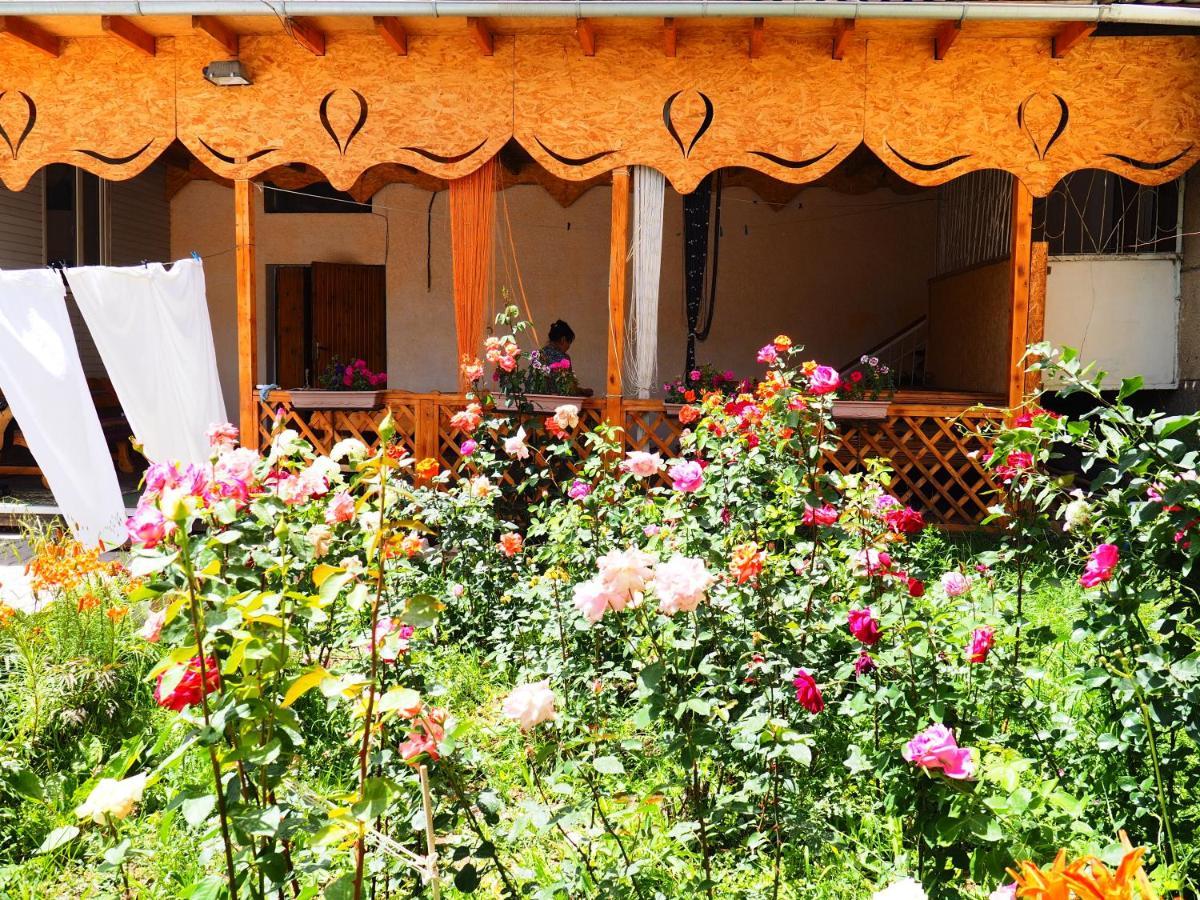 Baktygul Guesthouse Naryn Extérieur photo
